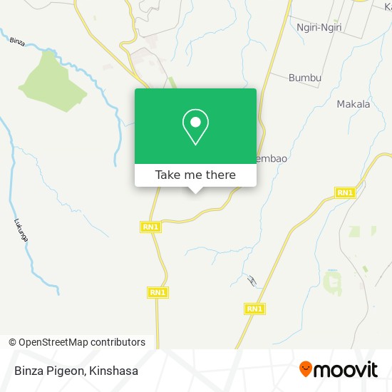 Binza Pigeon map