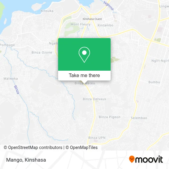 Mango map