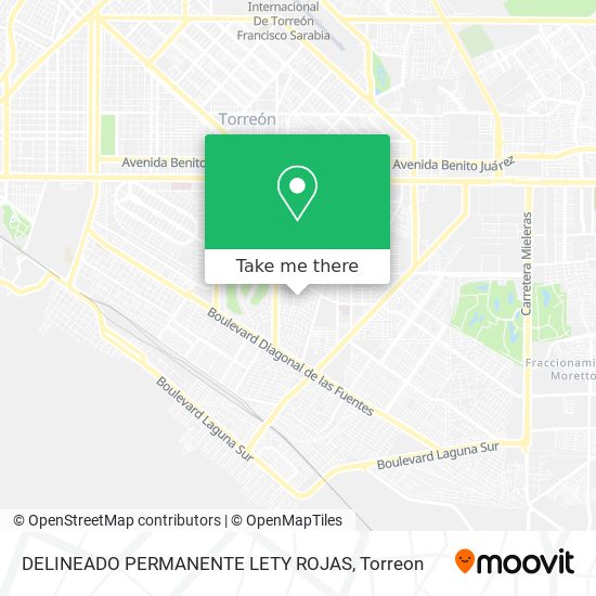 DELINEADO PERMANENTE LETY ROJAS map