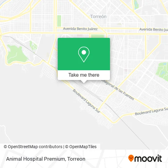 Animal Hospital Premium map