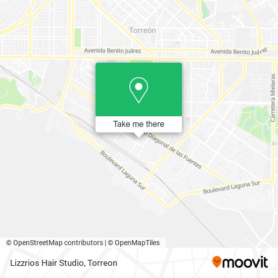 Mapa de Lizzrios Hair Studio