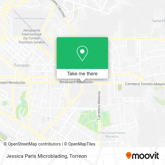 Jessica Paris Microblading map
