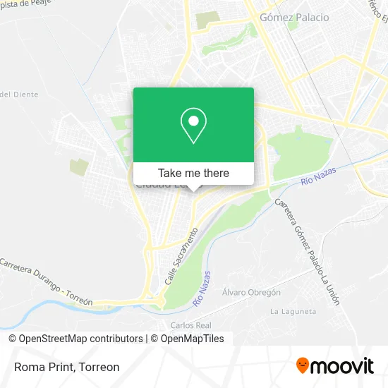 Roma Print map