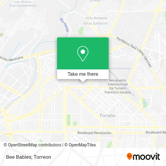 Bee Babies map