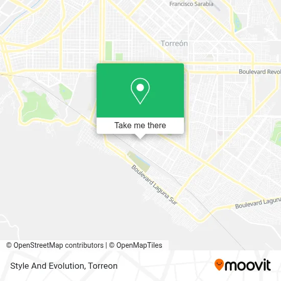 Style And Evolution map