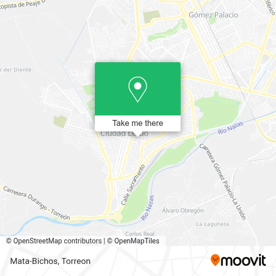 Mata-Bichos map