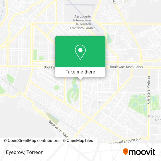 Eyebrow map