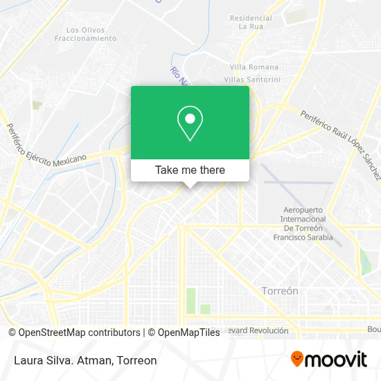 Laura Silva. Atman map