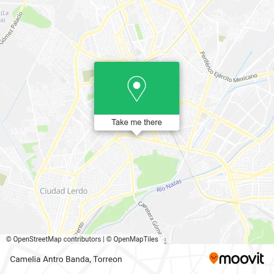 Camelia Antro Banda map