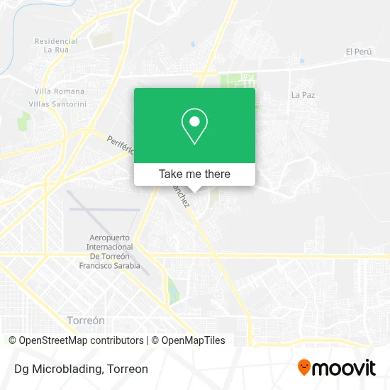 Dg Microblading map