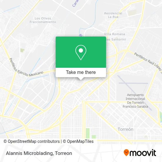 Alannis Microblading map
