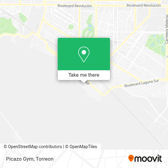 Picazo Gym map