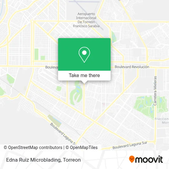 Edna Ruiz Microblading map
