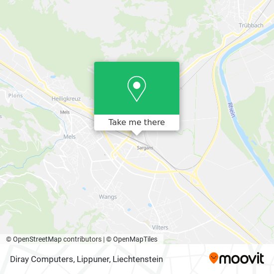 Diray Computers, Lippuner map