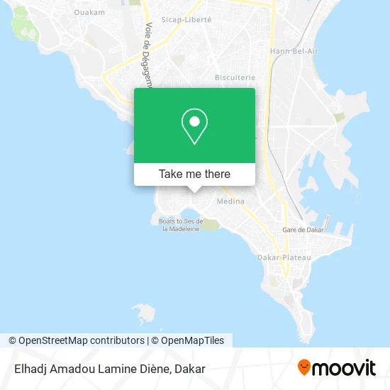 Elhadj Amadou Lamine Diène map
