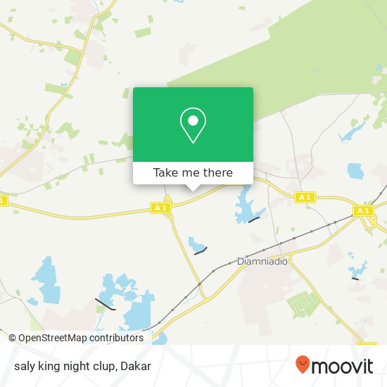 saly king night clup map