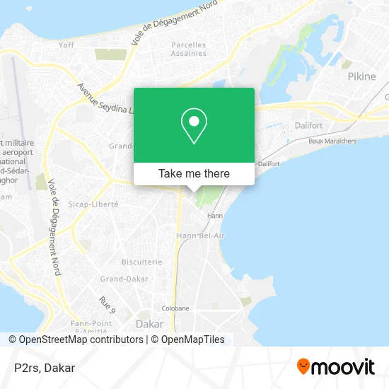 P2rs map