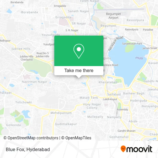 Blue Fox map