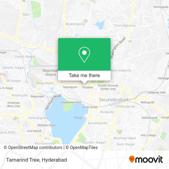 Tamarind Tree map