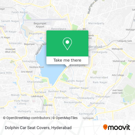 Dolphin Car Seat Covers map