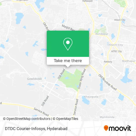 DTDC Courier-Infosys map