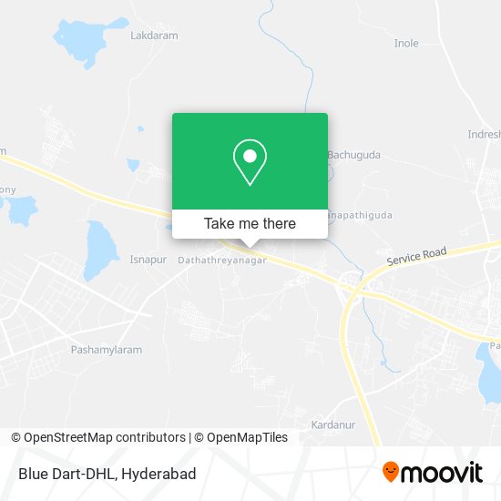 Blue Dart-DHL map