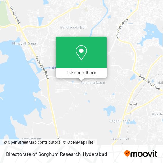 Directorate of Sorghum Research map