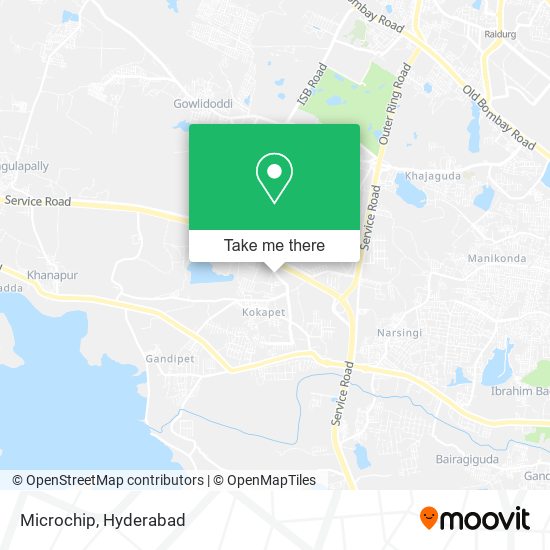 Microchip map