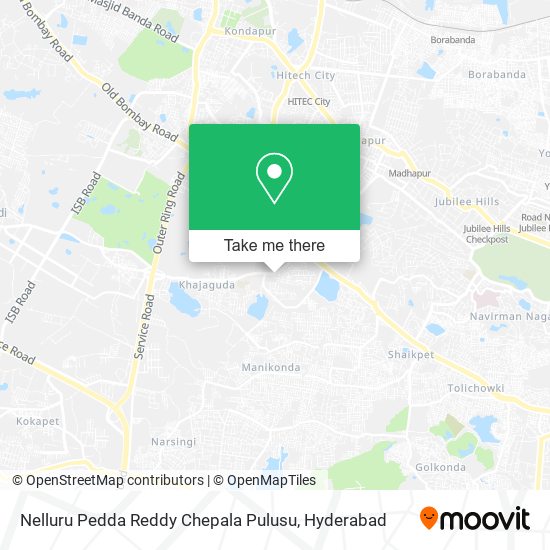 Nelluru Pedda Reddy Chepala Pulusu map