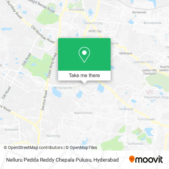 Nelluru Pedda Reddy Chepala Pulusu map