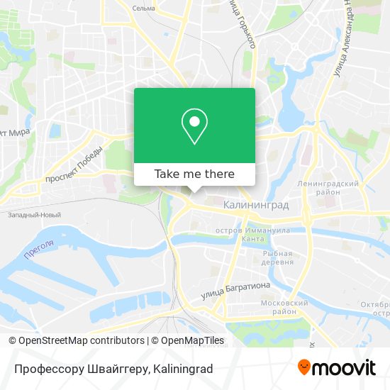 Профессору Швайггеру map