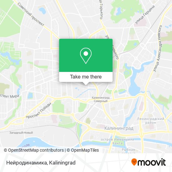 Нейродинамика map