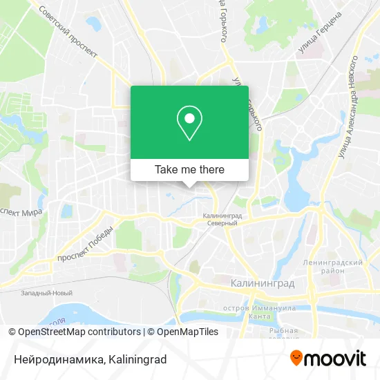 Нейродинамика map