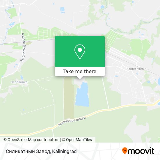 Силикатный Завод map