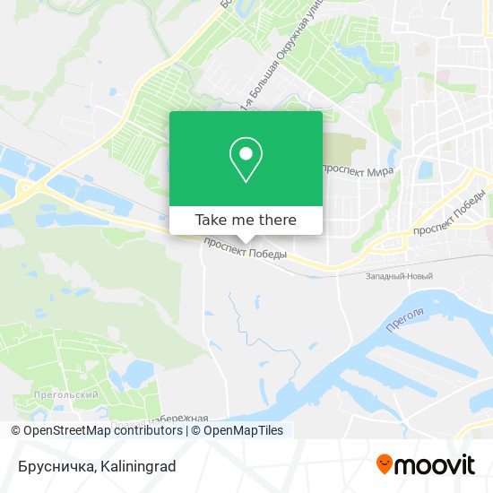 Брусничка map
