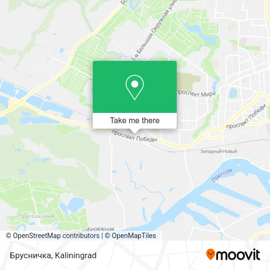 Брусничка map