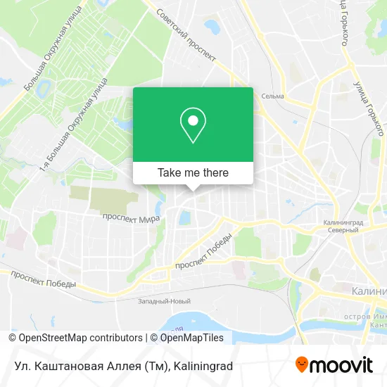 Ул. Каштановая Аллея (Тм) map