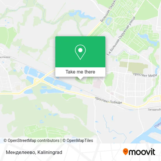 Менделеево map