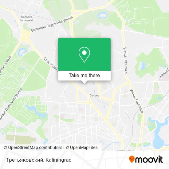 Третьяковский map