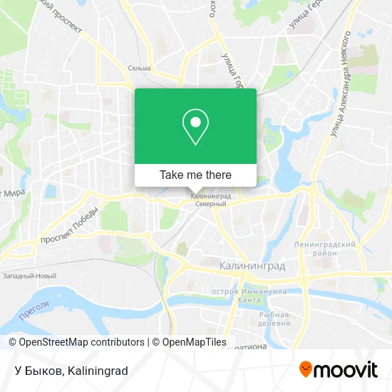 У Быков map