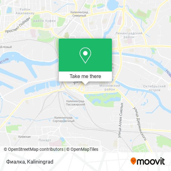 Фиалка map