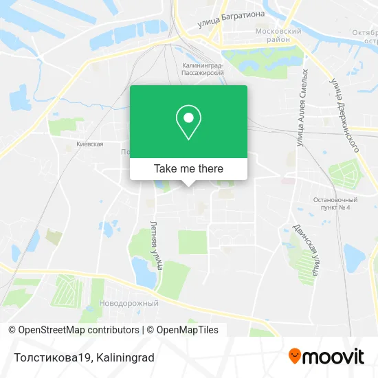 Толстикова19 map