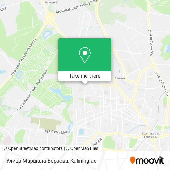 Улица Маршала Борзова map