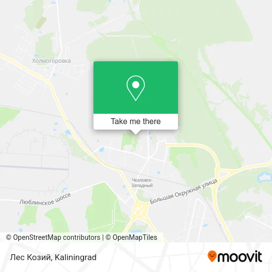 Лес Козий map