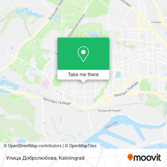 Улица Добролюбова map