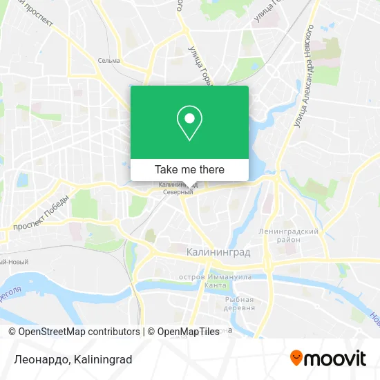 Леонардо map