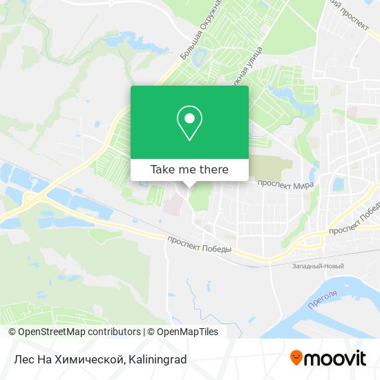 Лес На Химической map
