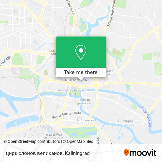 цирк слонов великанов map