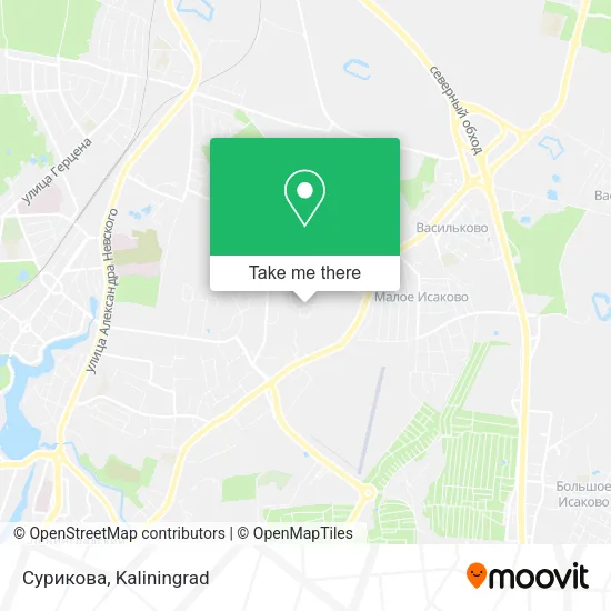 Сурикова map