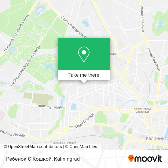 Ребёнок С Кошкой map